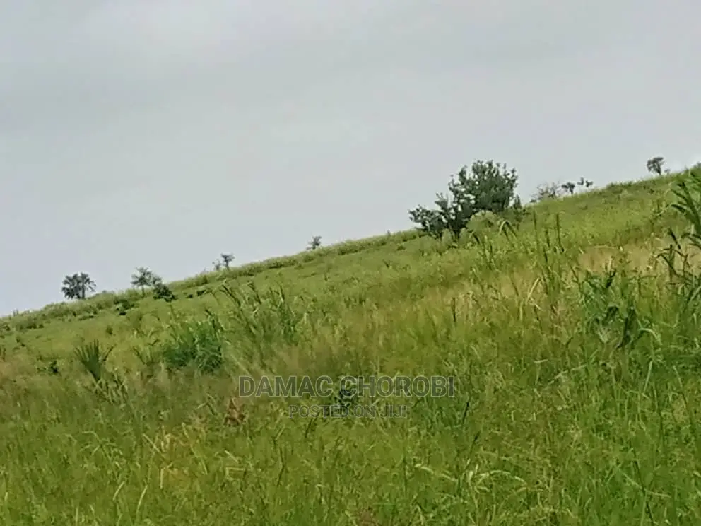 Acre Hizi Zinauzwa Mto Wami Kwa Kilimo Cha Kumwagilia