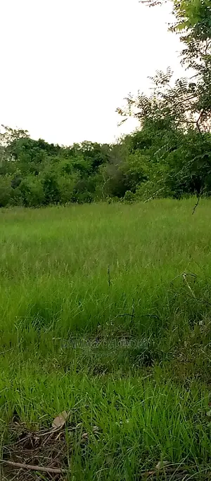 Mashamba Bora Kwa Kilimo Makazi Na Kufuga