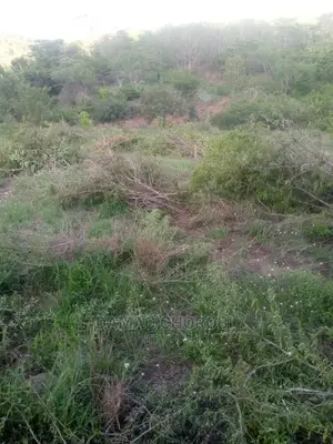 Mashamba Bora Kwa Kilimo Mashamba Safi Kwa Kilimo Kiwangwa