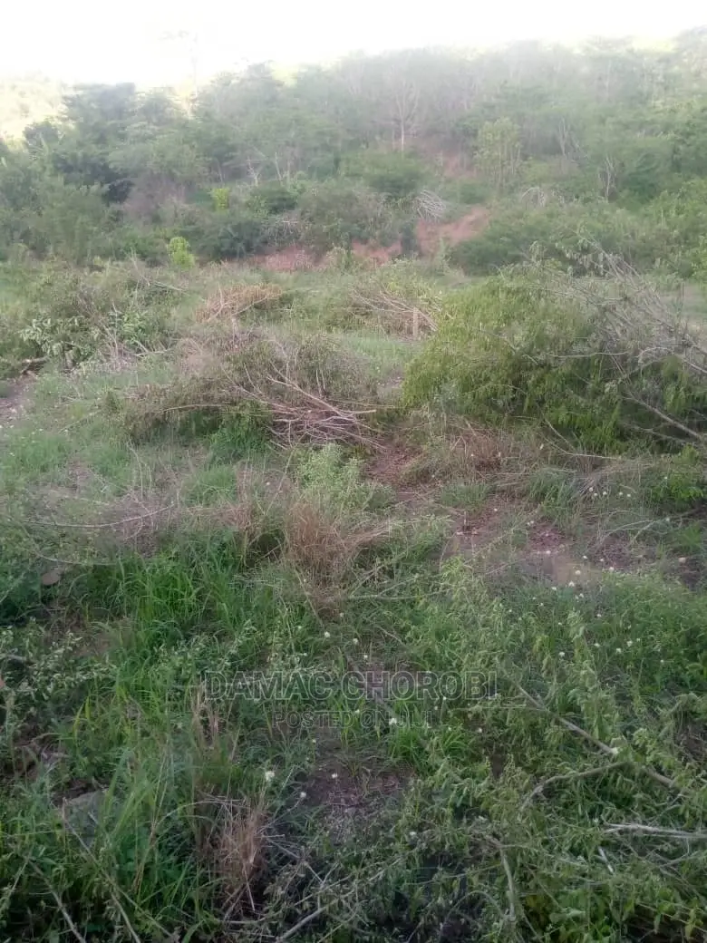 Mashamba Bora Kwa Kilimo Mashamba Safi Kwa Kilimo Kiwangwa