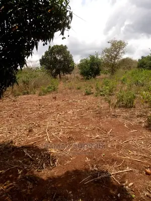 Mashamba Bora Kwa Kilimo Mashamba Safi Kwa Kilimo Kiwangwa