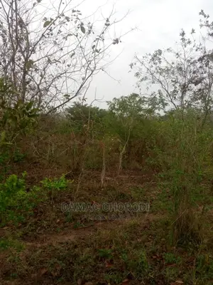 Mashamba Bora Kwa Kilimo Mashamba Safi Kwa Kilimo Kiwangwa