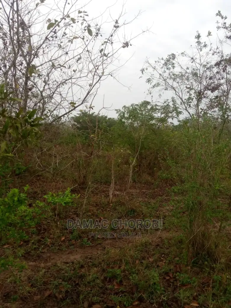 Mashamba Bora Kwa Kilimo Mashamba Safi Kwa Kilimo Kiwangwa