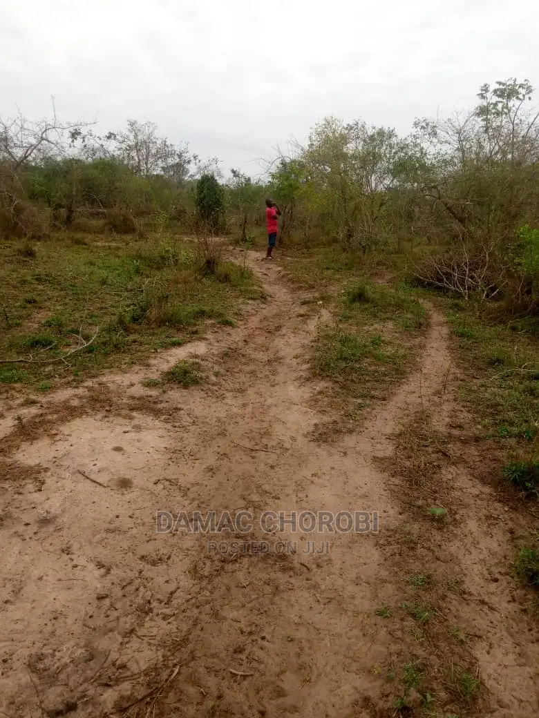 Mashamba Bora Kwa Kilimo Mashamba Safi Kwa Kilimo Kiwangwa
