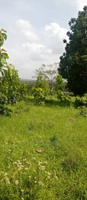 Mashamba Bora Kwa Kilimo Mashamba Safi Kwa Kilimo Kiwangwa