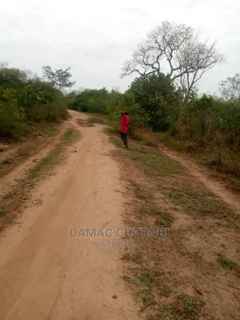 Mashamba Bora Kwa Kilimo Mashamba Safi Kwa Kilimo Kiwangwa