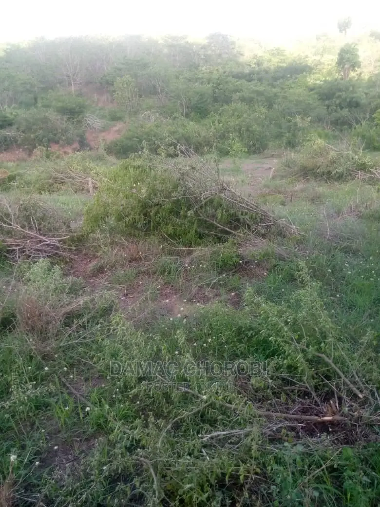 Mashamba Bora Kwa Kilimo Mashamba Safi Kwa Kilimo Kiwangwa