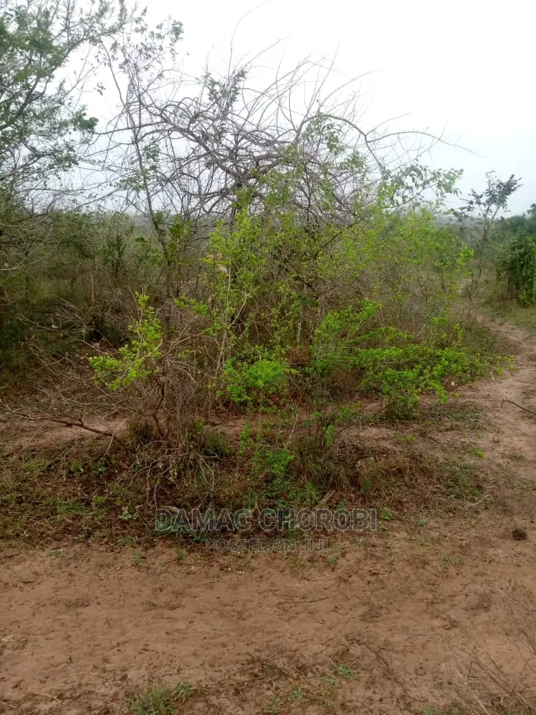Mashamba Bora Kwa Kilimo Mashamba Safi Kwa Kilimo Kiwangwa