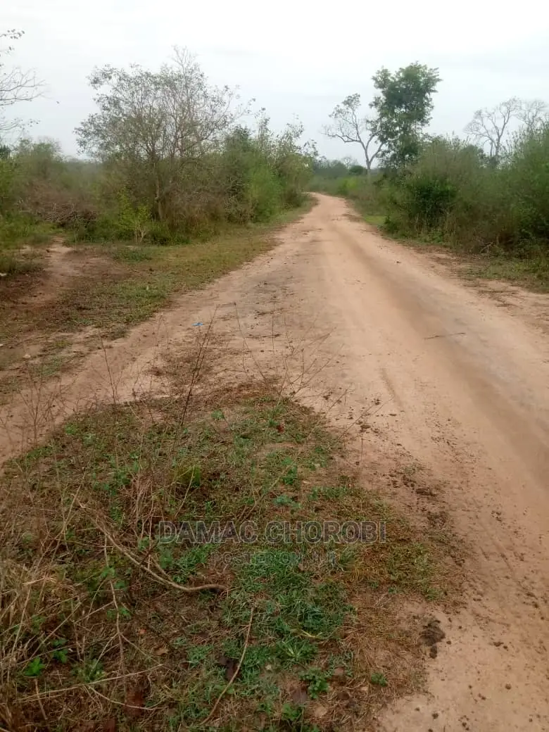 Mashamba Bora Kwa Kilimo Mashamba Safi Kwa Kilimo Kiwangwa