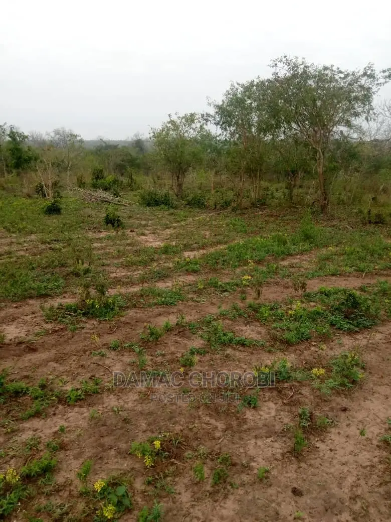 Mashamba Bora Kwa Kilimo Mashamba Safi Kwa Kilimo Kiwangwa