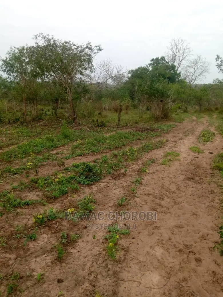 Mashamba Bora Kwa Kilimo Mashamba Safi Kwa Kilimo Kiwangwa