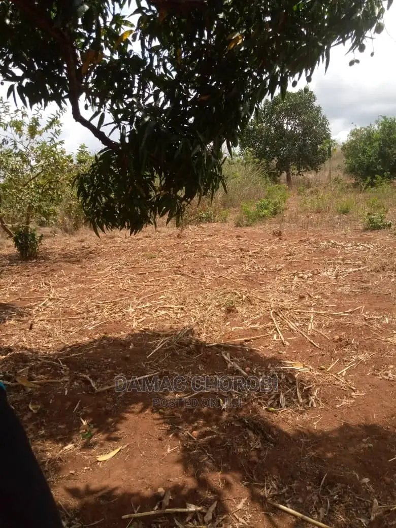 Mashamba Bora Kwa Kilimo Mashamba Safi Kwa Kilimo Kiwangwa