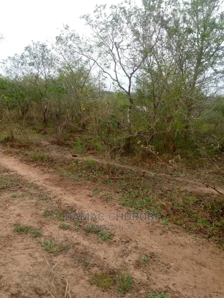 Mashamba Bora Kwa Kilimo Mashamba Safi Kwa Kilimo Kiwangwa