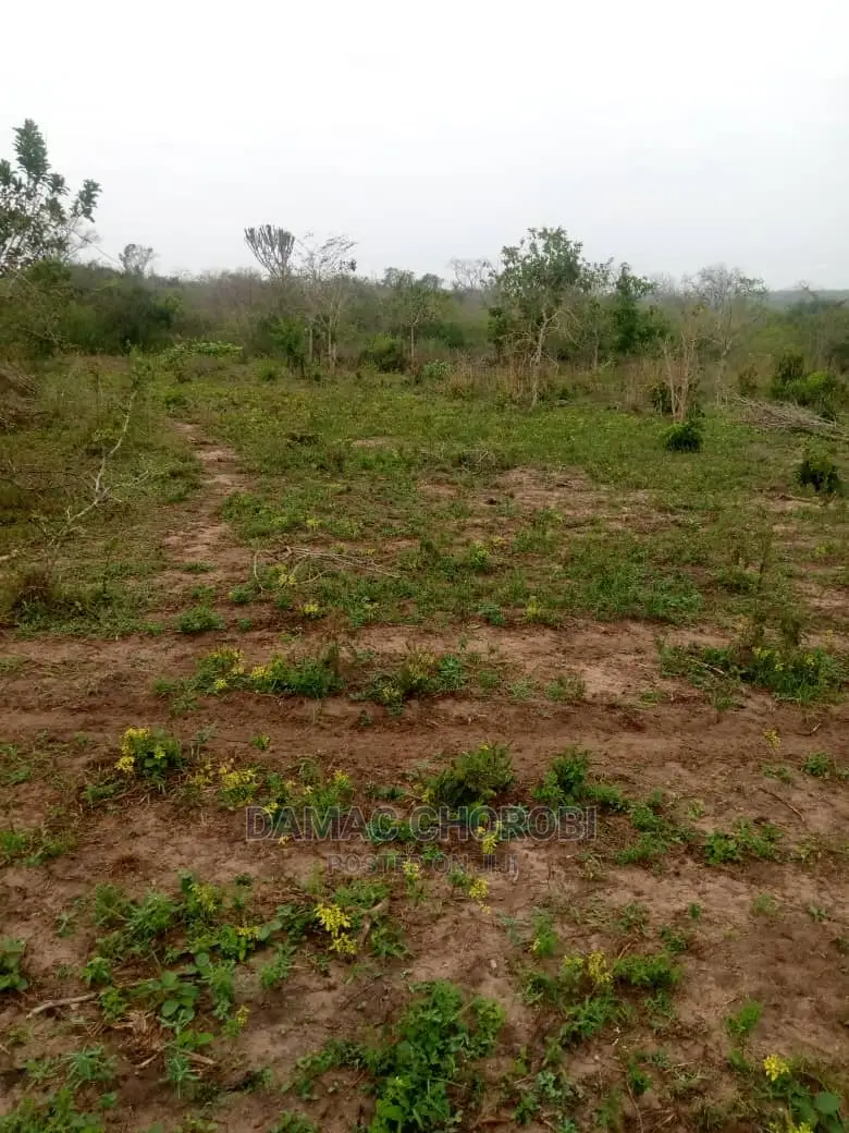 Mashamba Bora Kwa Kilimo Mashamba Safi Kwa Kilimo Kiwangwa