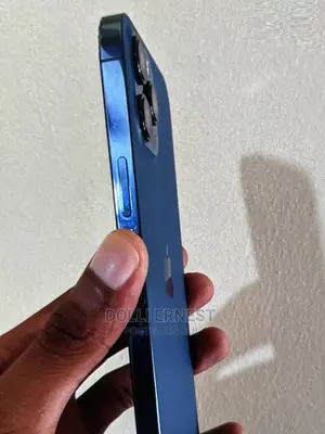Apple iPhone 12 Pro Max 256 GB Blue