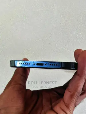 Apple iPhone 12 Pro Max 256 GB Blue