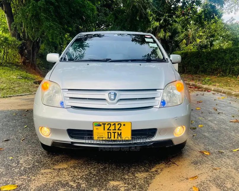 Toyota IST 2004 Silver