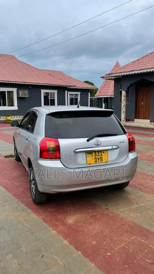 Toyota Allex 2004 Silver