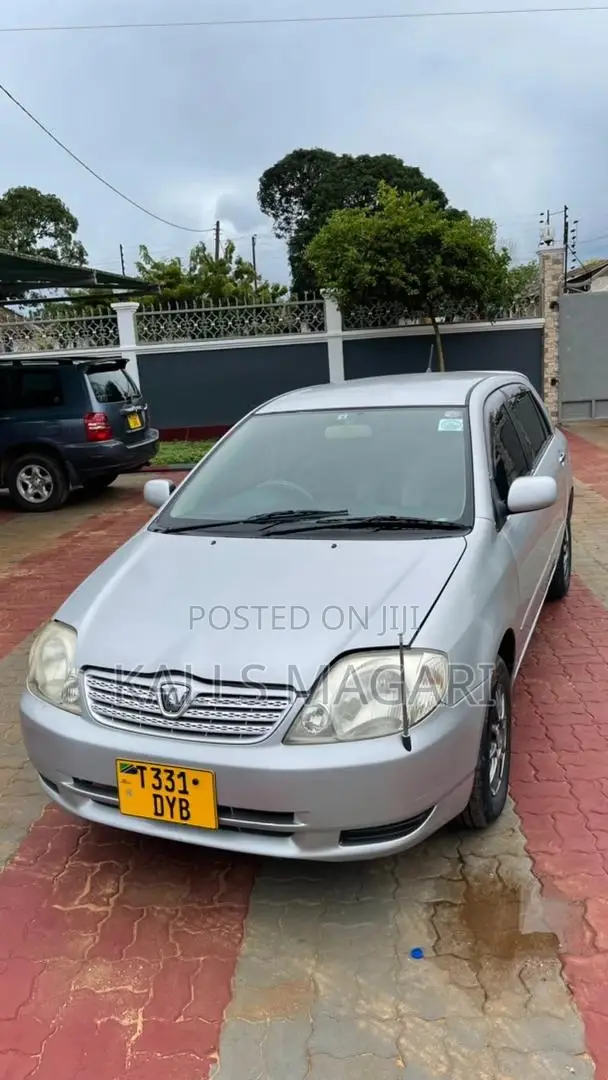 Toyota Allex 2004 Silver
