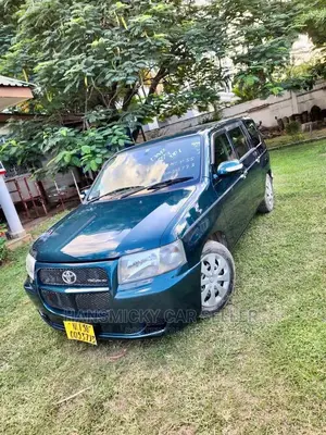 Toyota Probox 2008 Blue