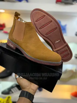 Clarks Boots