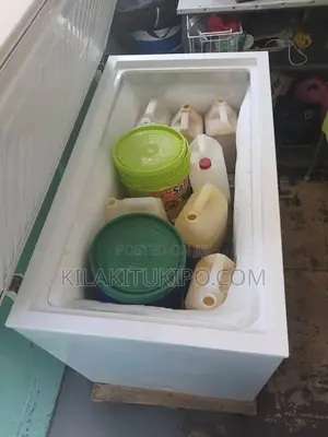 Hisense Chest Freezer 310L