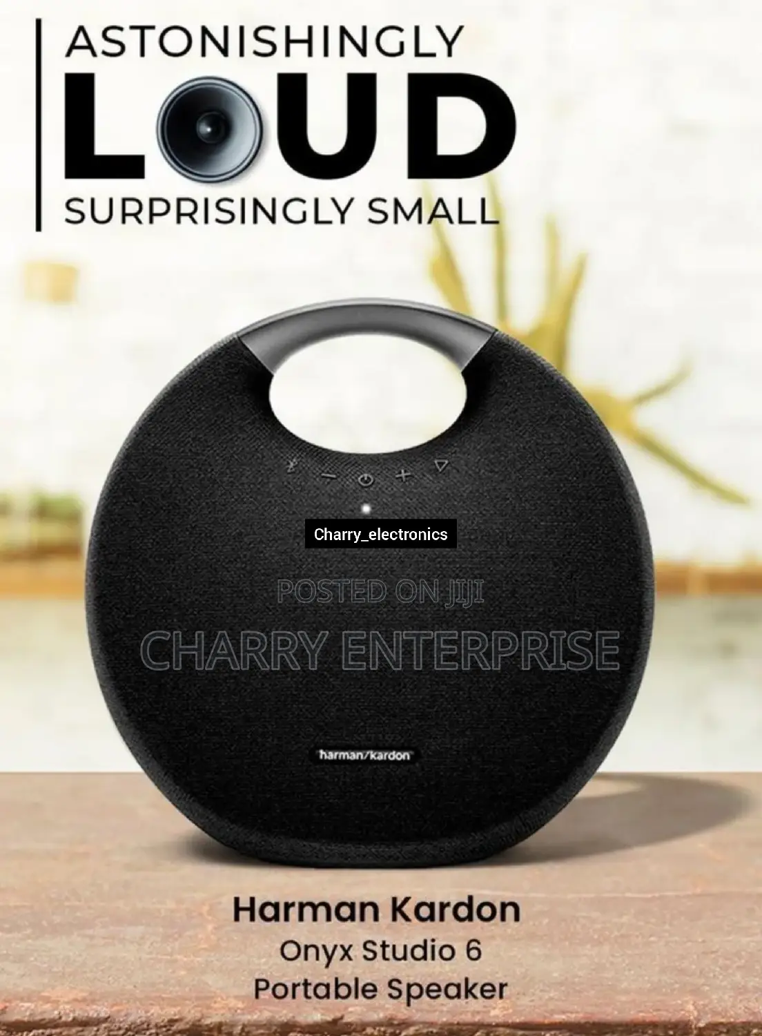 Portable Speaker