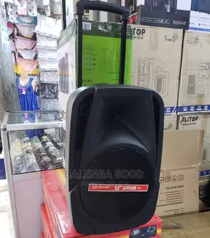 Aborder Rechargeable Speaker Inch 12
