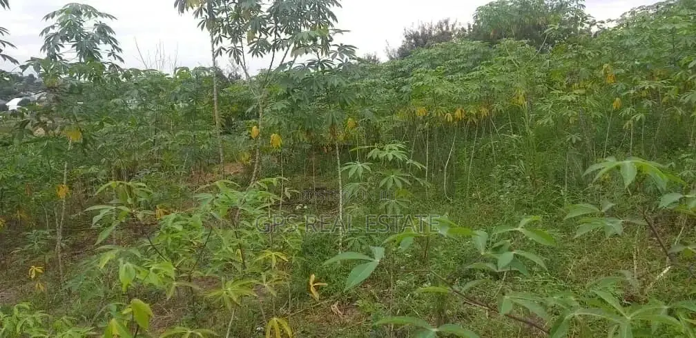 Plot for Sale