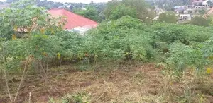 Plot for Sale