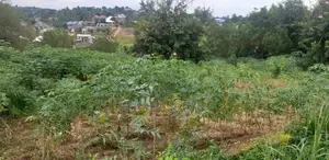 Plot for Sale