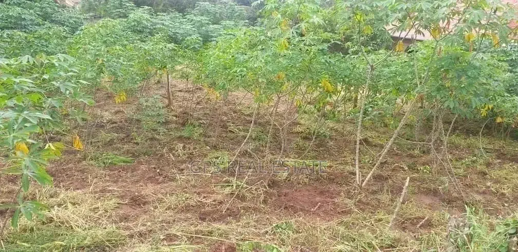 Plot for Sale