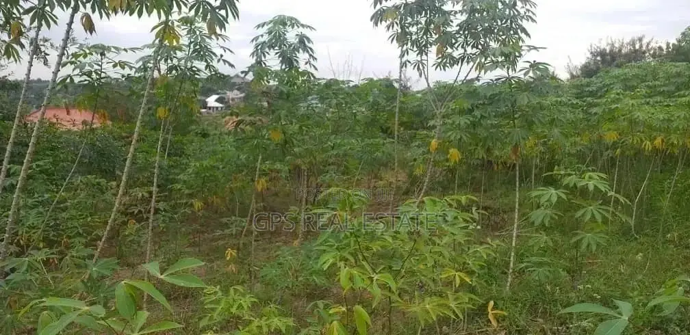 Plot for Sale