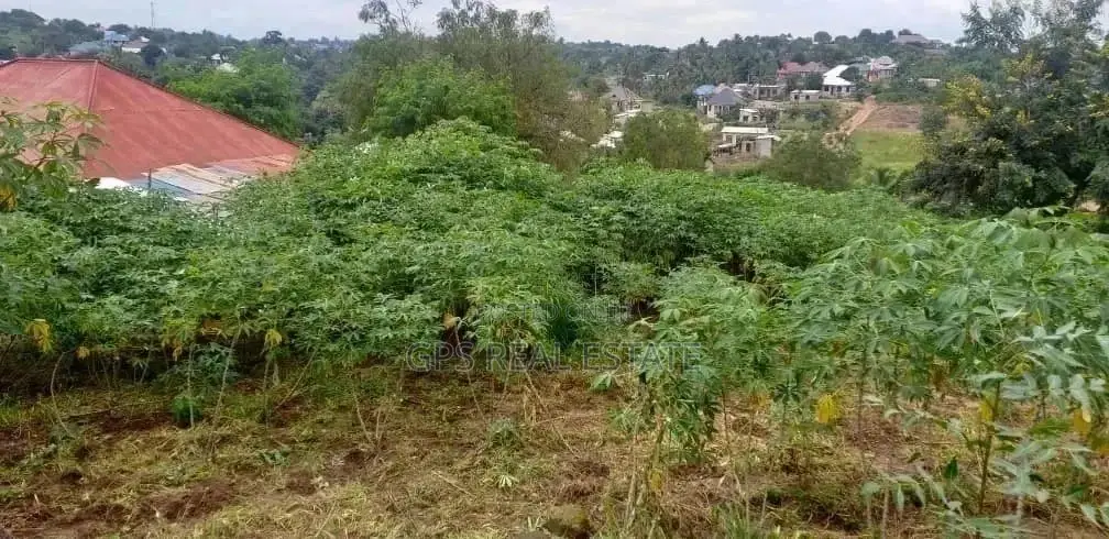 Plot for Sale