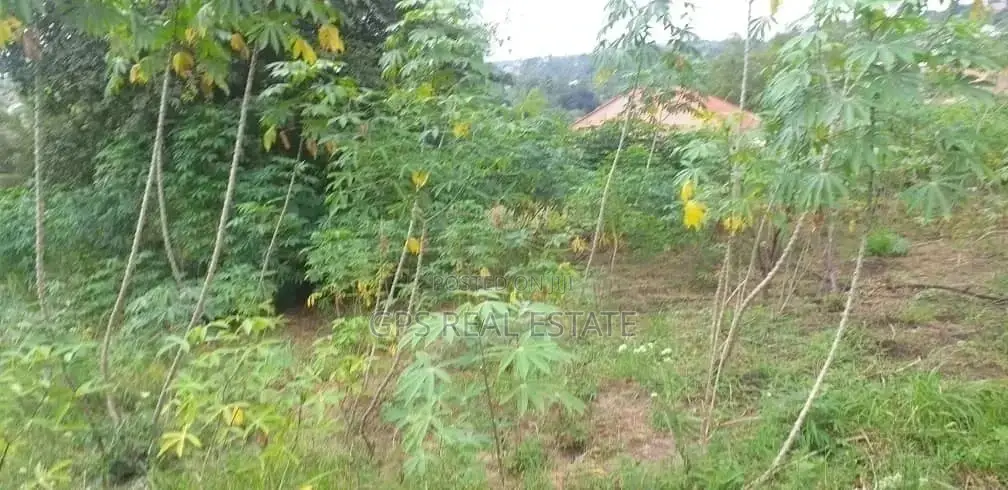 Plot for Sale