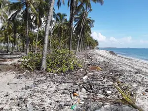 Sange Incredible Beach !