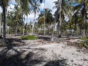 Sange Incredible Beach !