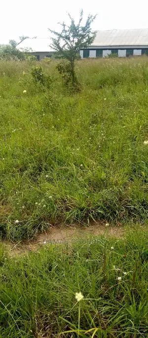 Mashamba Haya Yanauzwa Mbwembwe Bei Ya Kawaida Kabisa