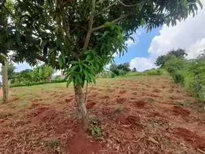 Mashamba Bora Kwa Kilimo Mashamba Safi Kwa Makazi Na Kufuga