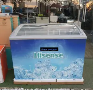 HISENCE Showcase Freezer 313l