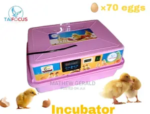 Eggs Incubator ( Manual)