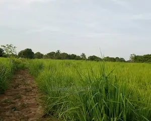 Acre 2500 Za Pamoja Zinauzwa Mbwewe Pwani Mashamba Bora Kabi
