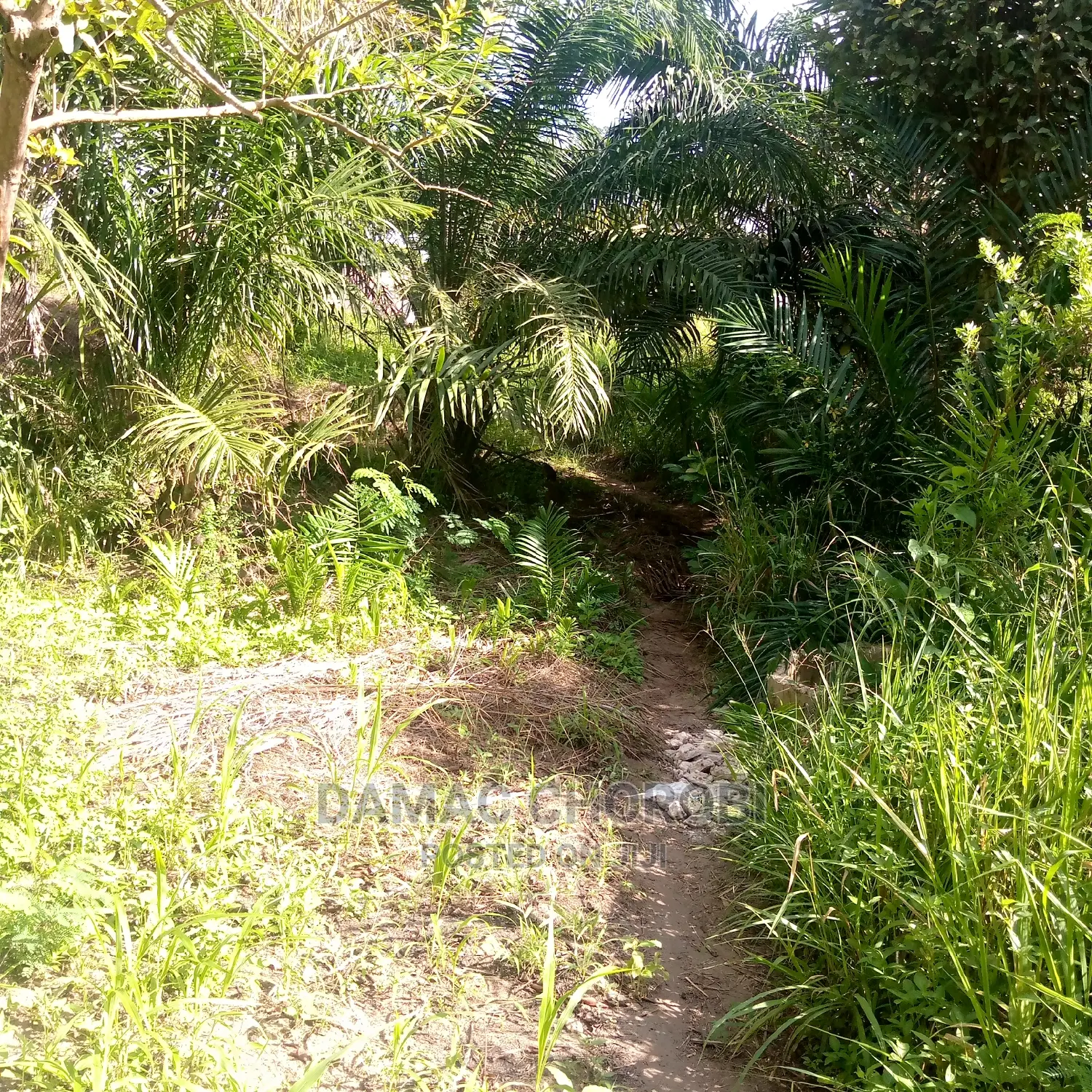 Acre 11000 Rufiji Pwani Linauzwa