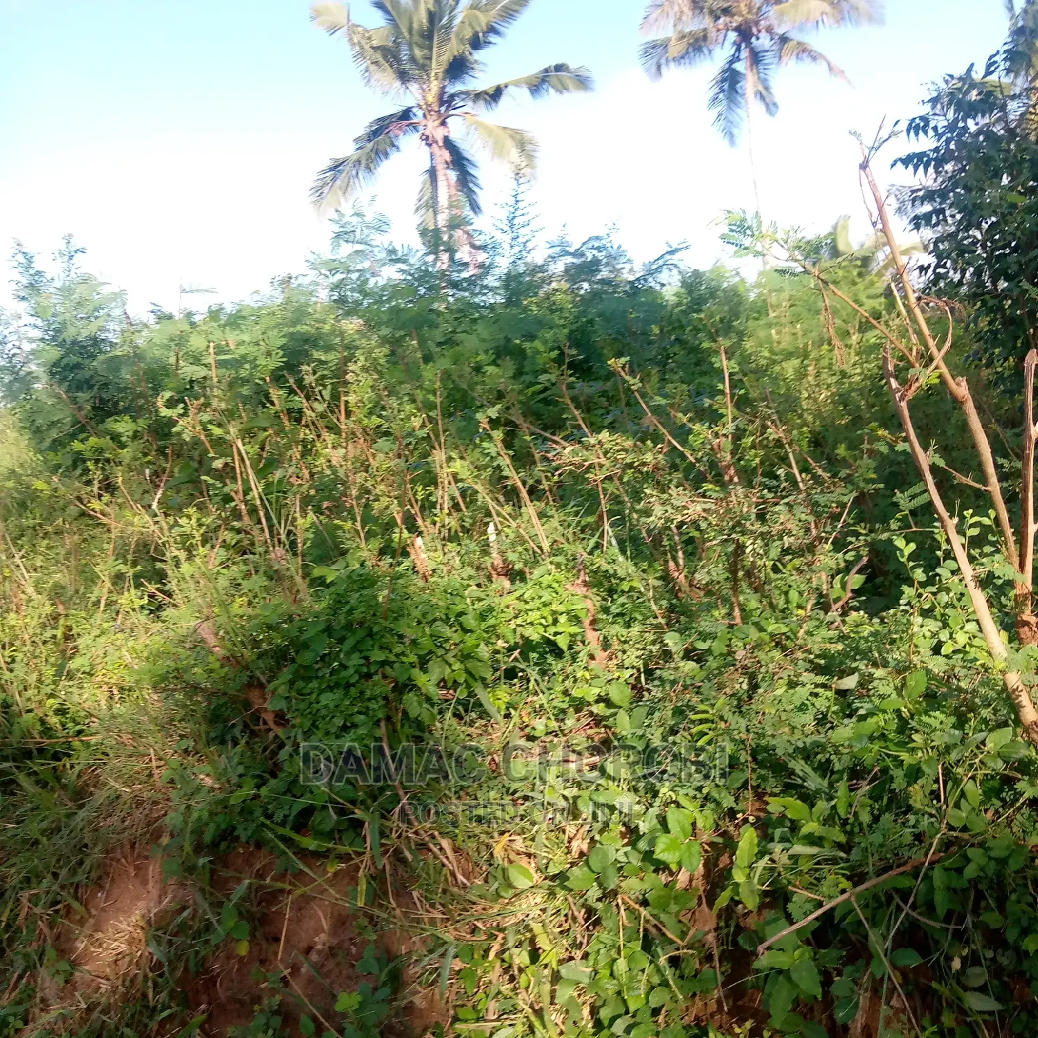 Acre 100000 Zinauzwa Songea