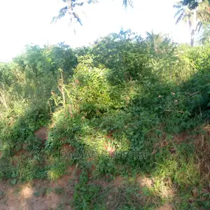 Acre 100000 Zinauzwa Songea