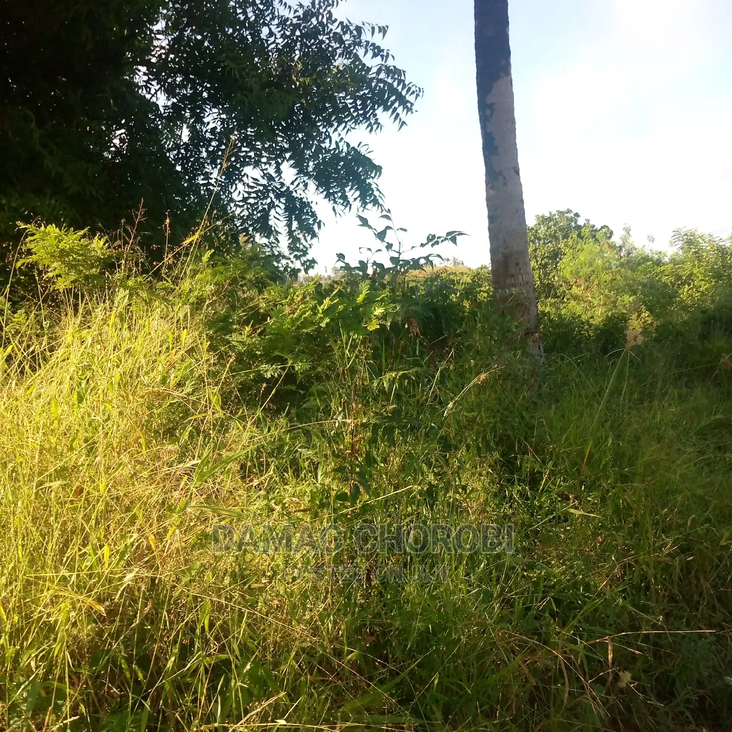 Acre 100000 Zinauzwa Songea