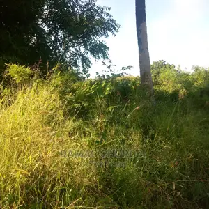 Acre 100000 Zinauzwa Songea