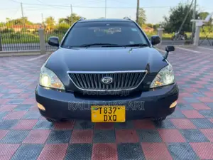Toyota Harrier 2005 Gray