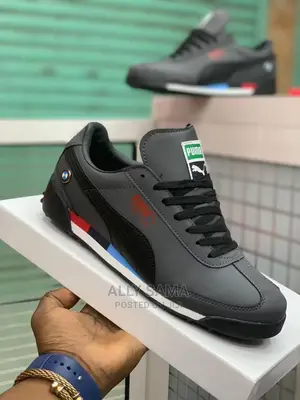 Puma Brand
