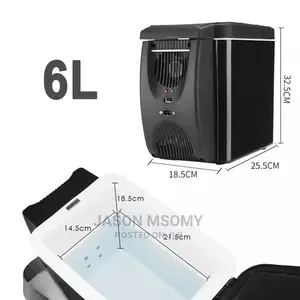 Portable Car Fridge